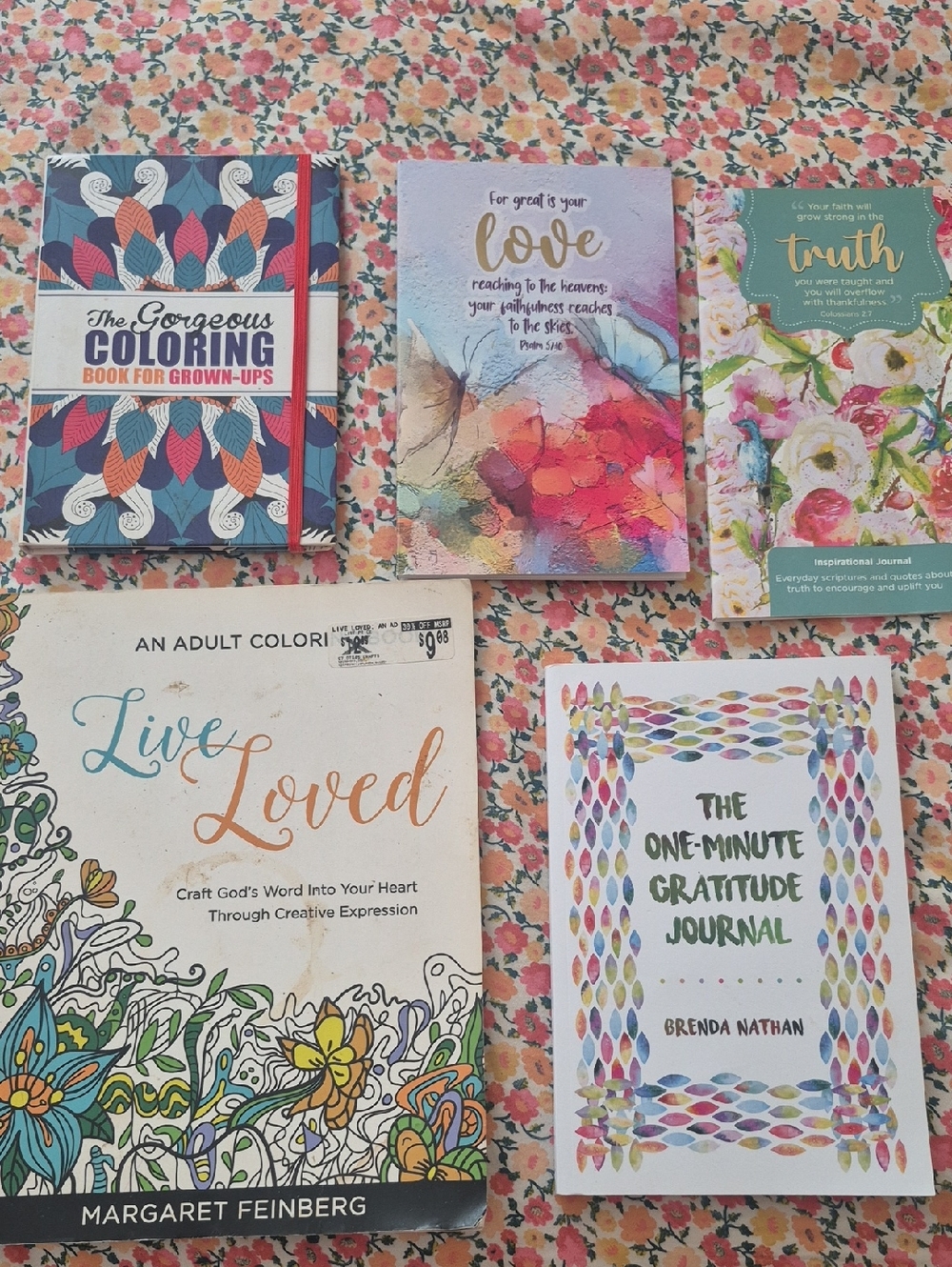 Assorted Adult Coloring & Journals -